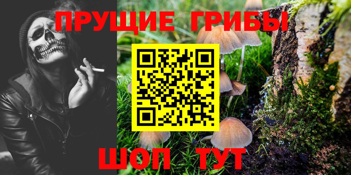 Псилоцибиновые грибы Psilocybe  Вход с VPN  Славянск-на-Кубани  Псилоцибиновые грибы MAGIC MUSHROOMS 