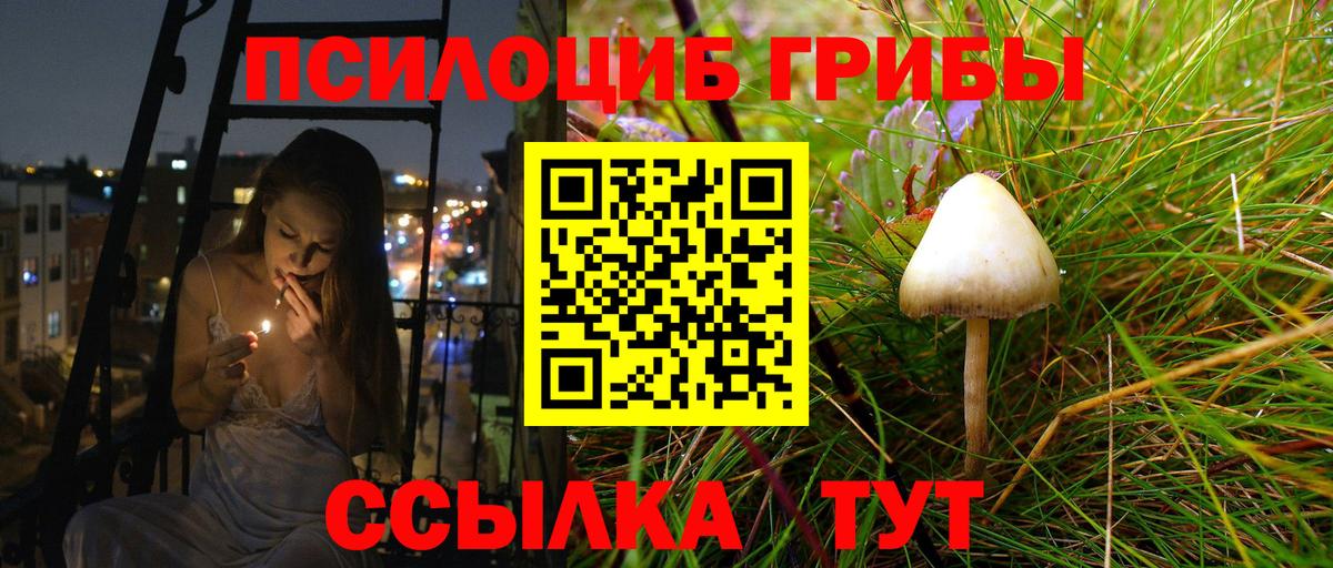 Псилоцибиновые грибы ЛСД Славянск-на-Кубани