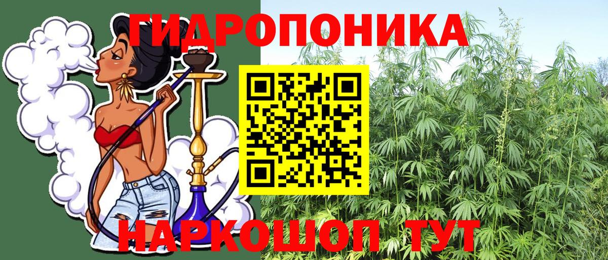 Бошки Шишки тримм  Вход с VPN  Бошки марихуана MAZAR  Славянск-на-Кубани  Каннабис OG Kush 